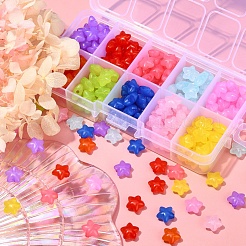 240個10色透明アクリルビーズ  模造ゼリー  五芒  ミックスカラー  10x10.5x6mm  穴：1.6mm  24個/カラー&nbsp;MACR-YW0001-89