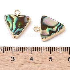 天然パウアシェルペンダント  真鍮の縁取りの三角形のチャーム  ゴールドカラー  17x14.5x3.5mm  穴：1.8mm&nbsp;SHEL-P017-20G