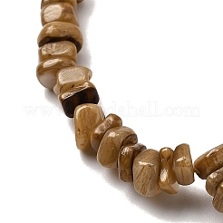 Natural Freshwater Shell Beads&nbsp;SHEL-B003-01D