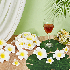 60個 3スタイル EVA造花  diyの工芸品の結婚式の家の装飾のため  フラットラウンドい両面粘着テープ100個とプラスチック製の人工葉30個付き  ミックスカラー  44x19mm&nbsp;AJEW-OC0014-25