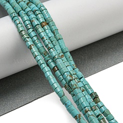 Natural Turquoise Beads Strands&nbsp;G-C084-D10-02