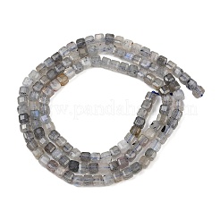 Natural Labradorite Beads Strands&nbsp;G-RM2025-C34-B