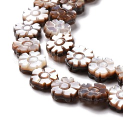 Natural Purple Shell Beads Strands&nbsp;SSHEL-G023-13B