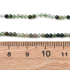 Natural Moss Agate Beads Strands&nbsp;G-Z116-A05-2mm