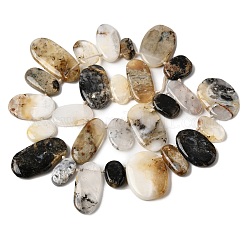 天然のアフリカオパールビーズ連売り  フラットオーバル  トップ掘削  15~46x9~24x4~6mm  穴：1.5mm  約28~30個/連  15.94''（40.5cm）〜16.34''（41.5cm）&nbsp;G-D365-D01