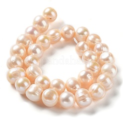 Natural Cultured Freshwater Pearl Beads Strands&nbsp;PEAR-E019-13