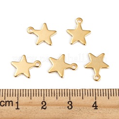 304 Stainless Steel Charms&nbsp;STAS-G190-27G-A