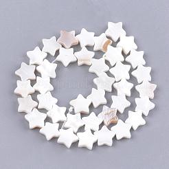 Freshwater Shell Beads Strands&nbsp;SHEL-Q021-07