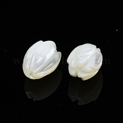 天然トロチッドシェル/トロカスシェルビーズ  花  ホワイト  10x7.5mm  穴：1mm&nbsp;SSHEL-T014-33