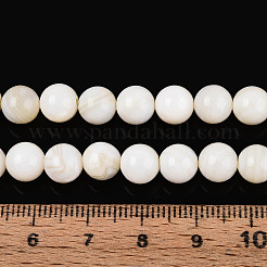 天然淡水シェルビーズ連売り  ラウンド  貝殻色  7~7.5mm  穴：0.6mm  約53~54個/連  14.96~15.16インチ（38~38.5cm）&nbsp;X-SHEL-N038-05