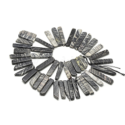 Natural Black Silk Stone/Netstone Beads Strands&nbsp;G-R419-11