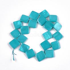Spray Painted Freshwater Shell Beads&nbsp;SHEL-T010-05E