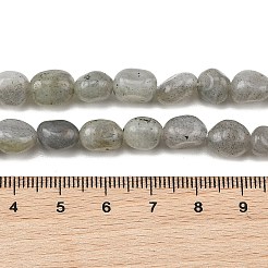 Natural Labradorite Beads Strands&nbsp;G-P623-A03-01