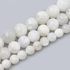 Natural Rainbow Moonstone Beads Strands&nbsp;G-S333-6mm-002
