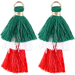Polycotton Tassel Pendants&nbsp;FIND-WH20032-74