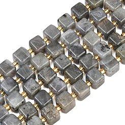 Natural Labradorite Beads Strands&nbsp;G-F832-A09-01