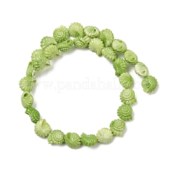 Synthetic Coral Dyed Beads Strands&nbsp;SHEL-Z003-04C-02