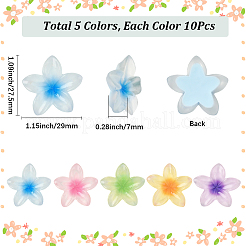 50Pcs 5 Colors Transparent Resin Cabochons&nbsp;RESI-SC0006-24
