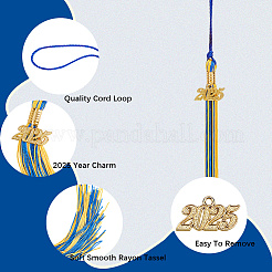 Polyester Graduation Tassel Pendant Decorations&nbsp;AJEW-WH20020-078F