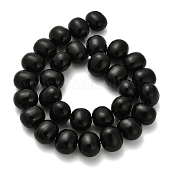 Shell Pearl Beads Strands&nbsp;BSHE-F013-01D