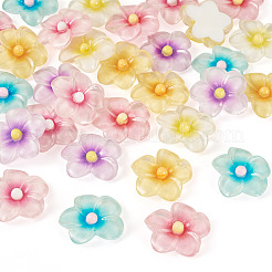 30Pcs 6 Colors Transparent Resin Cabochons&nbsp;RESI-TA0004-45
