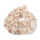 Natural Shell Beads Strands&nbsp;G-F328-45-5