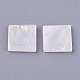 Shell Cabochons&nbsp;BSHE-P026-24-3