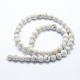 Natural Magnesite Beads Strands&nbsp;G-I199-27-6mm-2