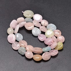 Dyed Natural Morganite Nuggets Beads Strands&nbsp;G-J336-14