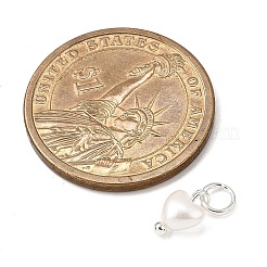 ABS Imitation Pearl Bead Charms&nbsp;PALLOY-JF04111