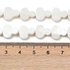天然淡水シェルビーズ連売り  ヒョウタン  貝殻色  10.5~12x8.5~10.5x3.5~4mm  穴：0.5mm  約33~34個/連  15.16''~15.55''（38.5~39.5センチメートル）&nbsp;SHEL-K010-02B