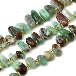 Natural Chrysoprase Beads Strands&nbsp;G-Z091-A04
