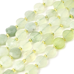 Natural New Jade Beads Strands&nbsp;G-B094-A34-01
