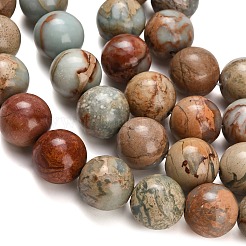 天然アクアテラジャスパービーズ連売り  印象ジャスパー  ラウンド  14mm  穴：1mm  約28個/連  14.76''（37.5センチメートル）&nbsp;G-Z110-C01-14mm