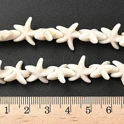 合成マグネサイトビーズ連  染め  ヒトデ/海星  淡い茶色  15.5x13.5x5.5mm  穴：1mm  約36個/連  14~14.5インチ&nbsp;X-G-P228-16-01