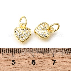 Valentine's Day Brass Micro Pave Clear Cubic Zirconia Charms&nbsp;KK-Z156-19G