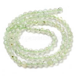 Natural Prehnite Beads Strands&nbsp;LS-G-G161-A13-03