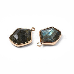 天然石ラブラドライトペンダント  ゴールデントーン真鍮パーツ  多面カット  五角形  18~19.5x14~15x6mm  穴：1.6mm&nbsp;G-S359-381