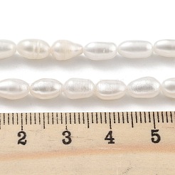 Natural Cultured Freshwater Pearl Beads Strands&nbsp;PEAR-P062-06F