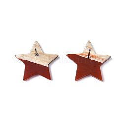 樹脂と木のスタッドピアス  304ステンレスピン付き  スター  ココナッツブラウン  17x18mm  ピン：0.7mm&nbsp;EJEW-N017-001A-C04