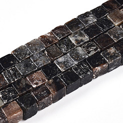 Natural Biotite Beads Strands&nbsp;G-T140-39A