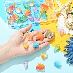 30個 6スタイル 蓄光樹脂製巻貝ディスプレイ装飾  暗闇で光る  水族館の風景、水槽の装飾用  暗闇で光る  ミックスカラー  21.5~30.5x10.5~20x13~21mm  5個/スタイル&nbsp;DJEW-CJ0001-37