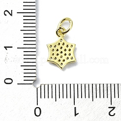 Brass Micro Pave Clear Cubic Zirconia Charms&nbsp;KK-H475-59G-05