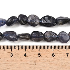 Natural Iolite Beads Strands&nbsp;G-C271-01