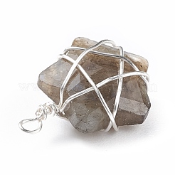 Natural Gemstone Pendants&nbsp;PALLOY-JF01457-02