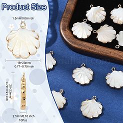 10Pcs Electroplated Natural Freshwater Shell Pendants&nbsp;SHEL-CJ0001-39