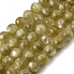 Natural Lepidolite Beads Strands&nbsp;G-F799-B02-10mm