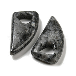 天然石ラブラドライトペンダント  ホーンチャーム  41~43x20x7.5~8mm  穴：10.5~11mm&nbsp;G-M417-03C