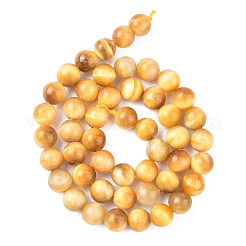 Natural Gold Tiger Eye Beads Strands&nbsp;G-G212-8mm-18