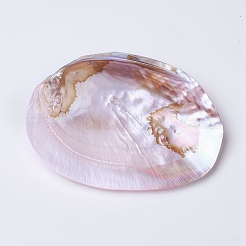 Natural Freshwater Pearl Shell Decoration&nbsp;SHEL-K002-01A